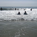 2011-Aug-LA-beach2