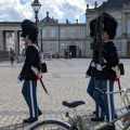 Amalienborg guard0
