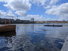 Nordhavn swim