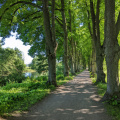Upps canal path