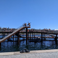 HarbourSouth jump