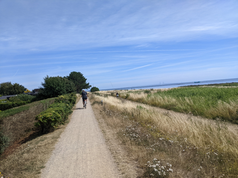 Cycle_Amager_east1.jpg