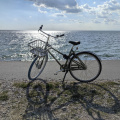Cycle Amager1 bike