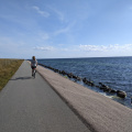 Cycle Amager1 south