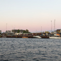 Harbour evening Reffen