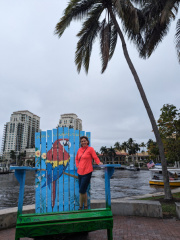 FTLaud River chair