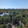 Cape Coral RotaryParkView2