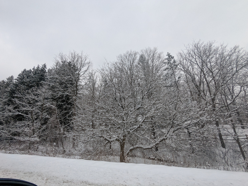 PXL_20250209_163756900.jpg