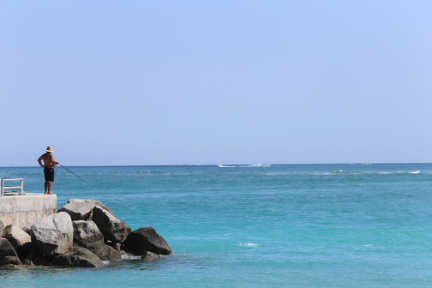 IMG 7159