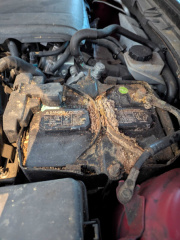 PXL 20260207 221917248